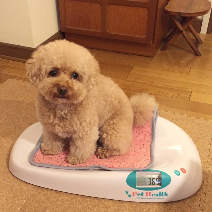 C6743900 a67d 4dae b795 915e3c3e39bb