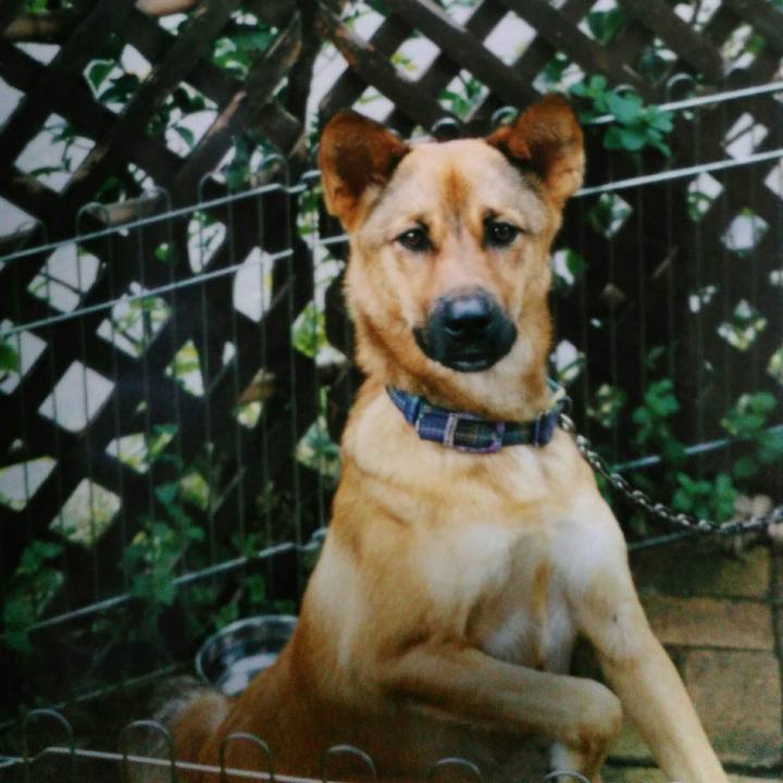 C67455ff b7ad 4ef1 bce4 baa22eb0aece