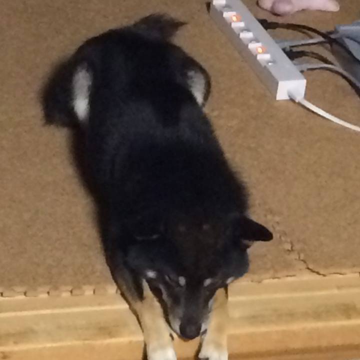 C674ff6d 4fce 4863 a640 8f04ae83e359