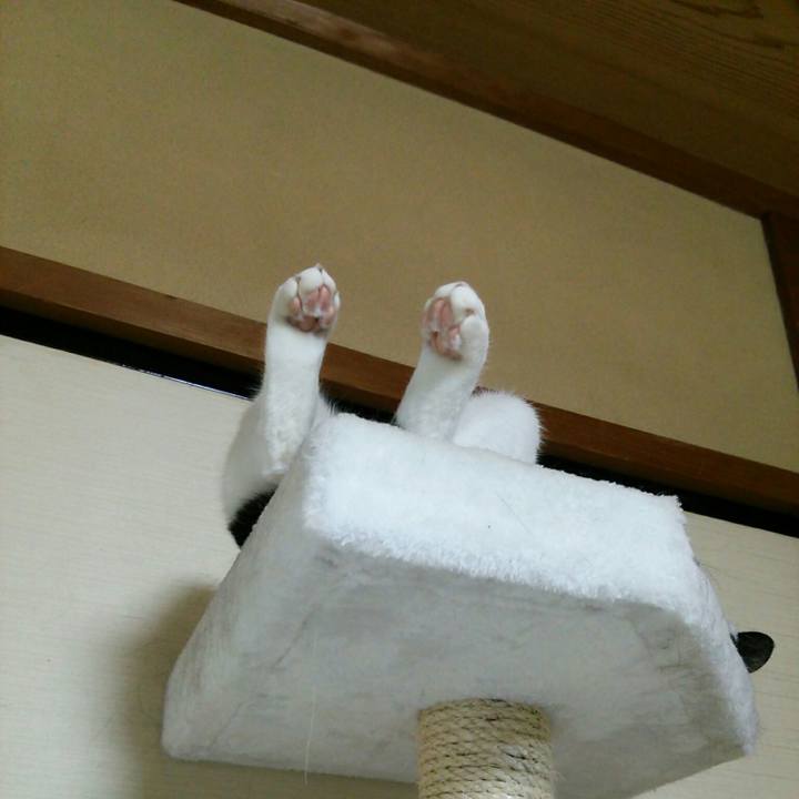 C6758da7 fecc 41cf af37 c1788e5a96ce