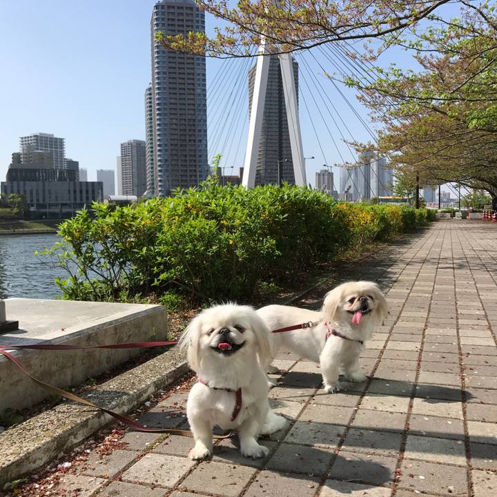 C675ca47 0715 4d78 b10a 2bf9e668c5d4