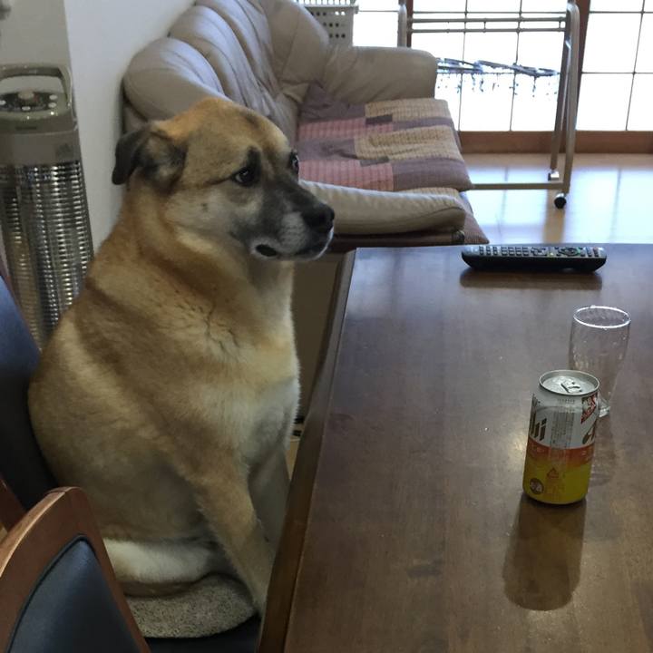 C676356b fd77 463c 994e 60eb7147f99b