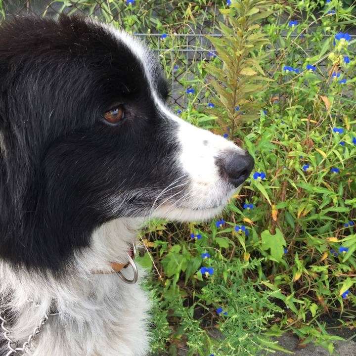 C6764d02 ee27 47e1 8f20 7af6d1e2a2eb