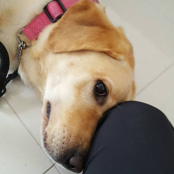 C67659f9 b0ca 42d6 ac0d f4ab770dbc59