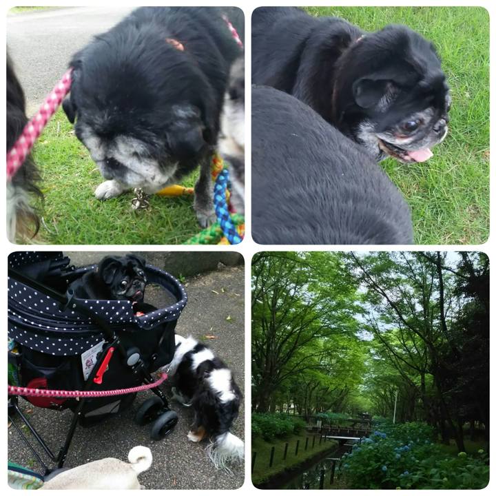 C6766909 cb4d 45ad b1f6 012dad1440fe