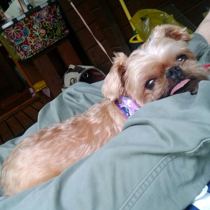 C6767ca0 3a99 452c 957f 84339d0b9455