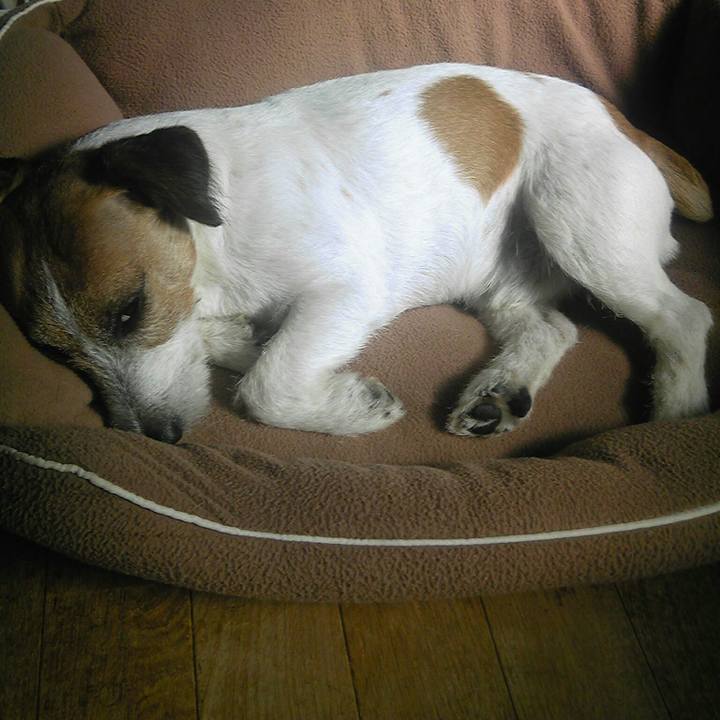 C676bcbc d448 4b16 96be 2aa616575614