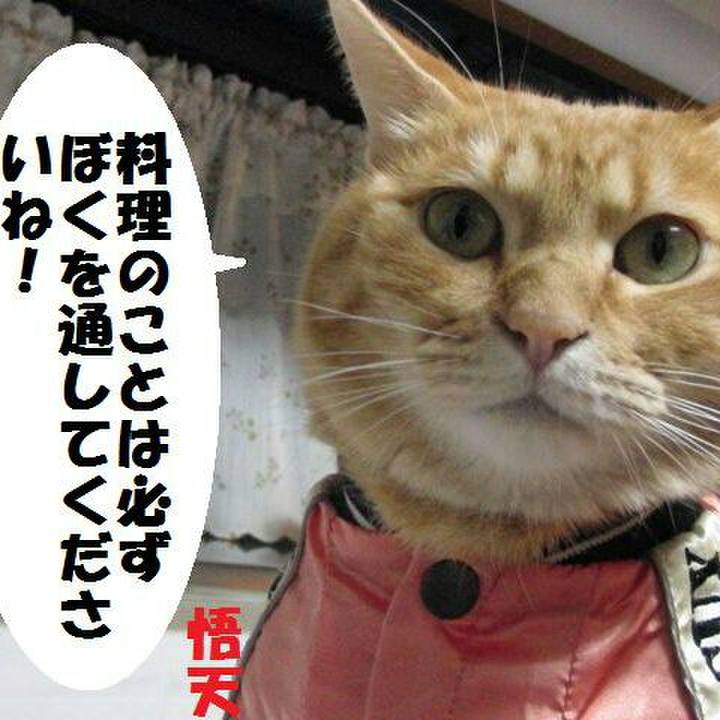 C6779db5 e15f 400c aa5c 3b760e6ccc0c