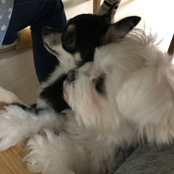 C677cb48 bf09 4ae0 85f5 8c9201e3af8b