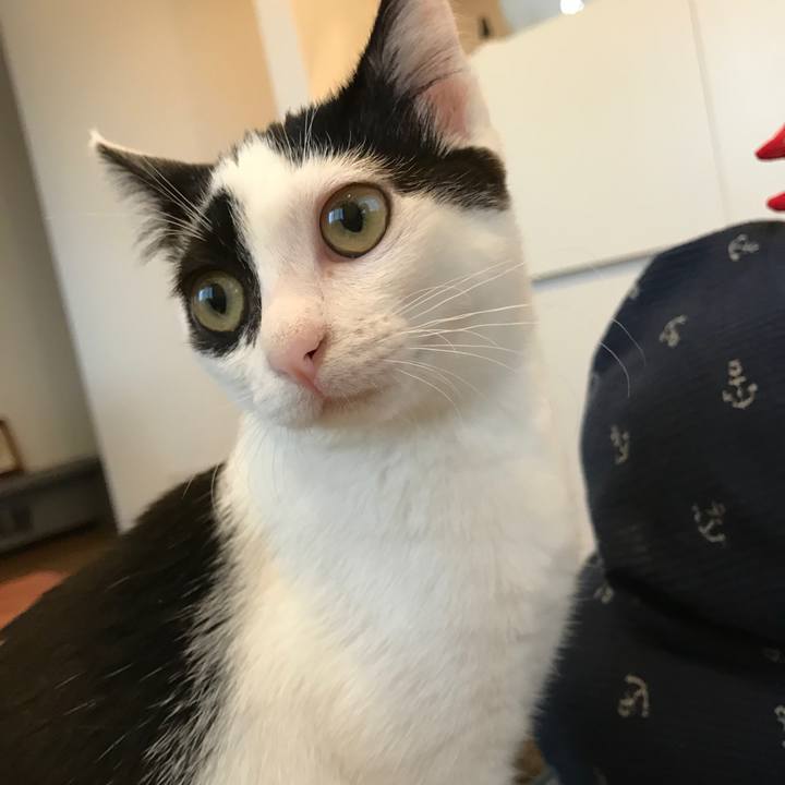 C6780945 0b20 4e2c 8647 d61b95388bf2