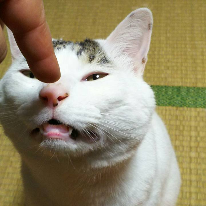 C6782422 e76e 4452 8307 c6d9836f6be0