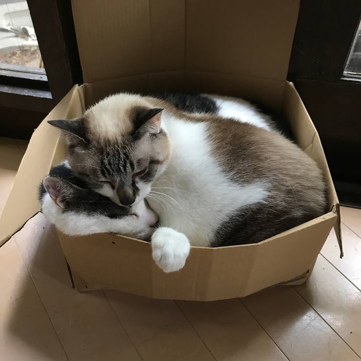 C678651b b5cf 47e8 bb0d ac213fe75b5a