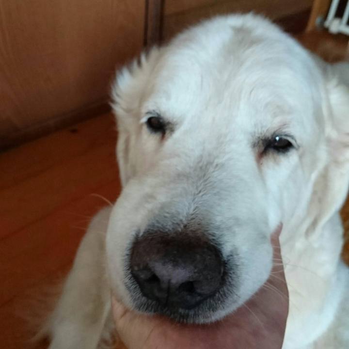 C678dc0b 7b90 4c2c 9359 98de30da8f18