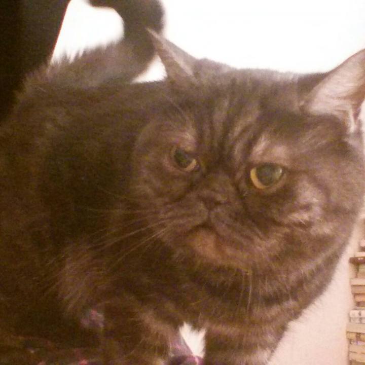 C679105c 8b7b 427b 9356 8be56f8117ab