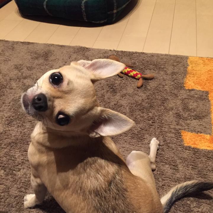 C67971c7 ec33 4e56 871f 1227d84b42be