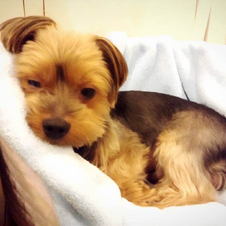 C67ad1e7 20c0 4492 93ba e37e3c185351