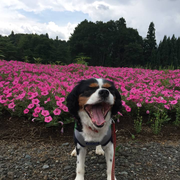 C67b771c cbd2 49ca a1dd 05096f3f0ebc