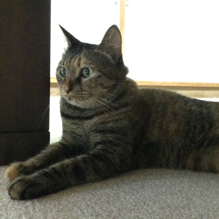 C67b9ed8 9045 49f1 8ab7 d3bf794848c5