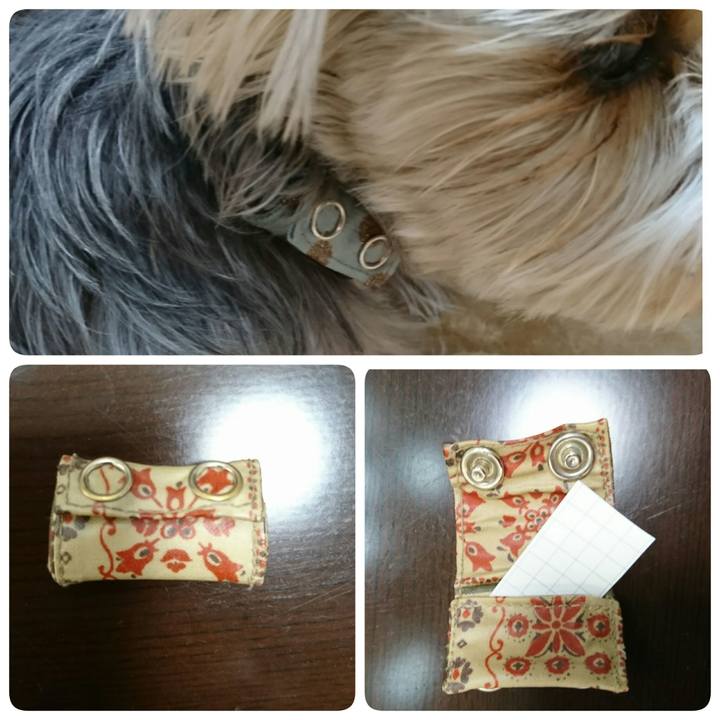 C67bd752 0326 4eb0 a54c 74814440726a