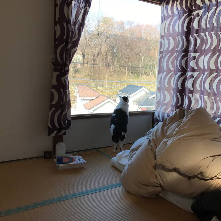 C67be091 50c2 4338 a5da c2315867a7b9