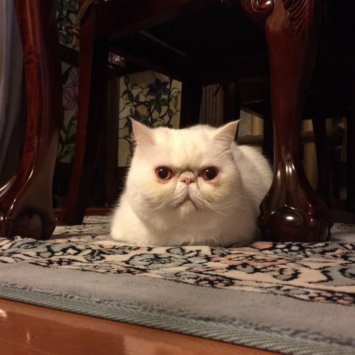 C67bf30e 3188 4c66 b057 f52e1b20d034