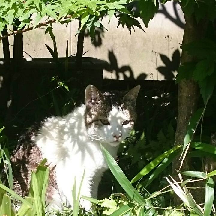 C67c0cd1 4e81 4e19 b4c5 aeb7f9b6fb92