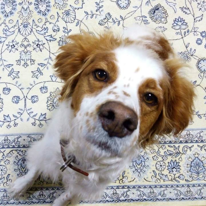 C67c0d48 21fc 474b bb32 7a963e942a67