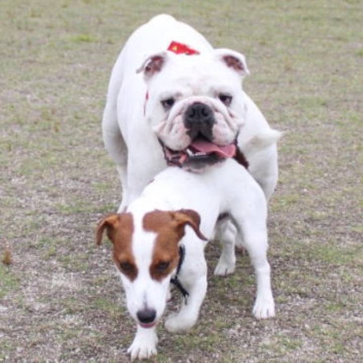 C67c2350 700a 4dfe 9c47 43762088a0a2