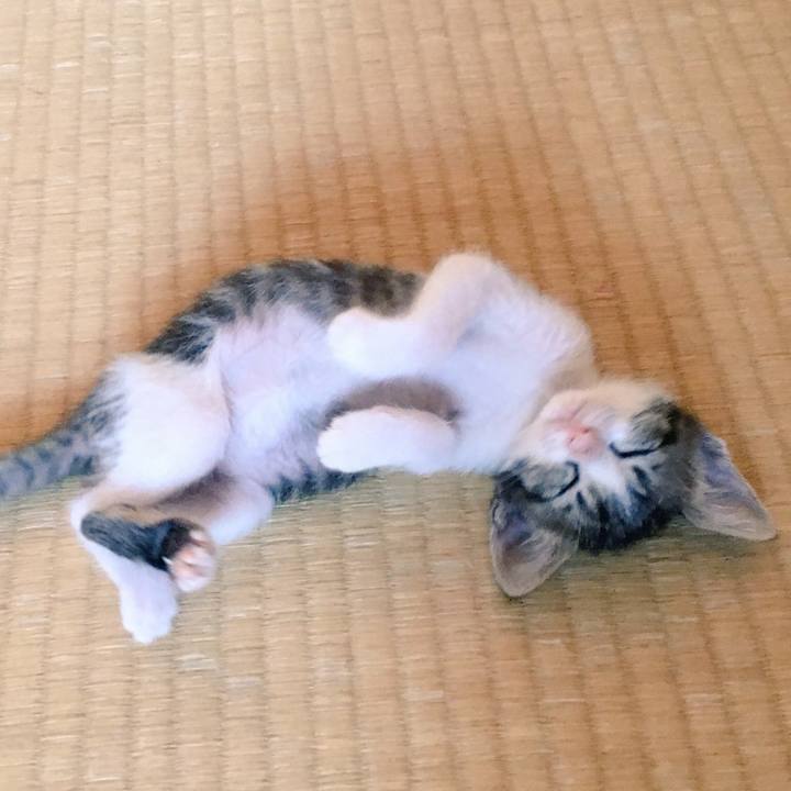 C67c6b45 725e 4ed7 9868 388a5a9e061a