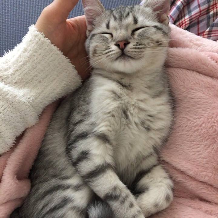 C67d9f65 7c8a 410d 9432 b3488a19b984