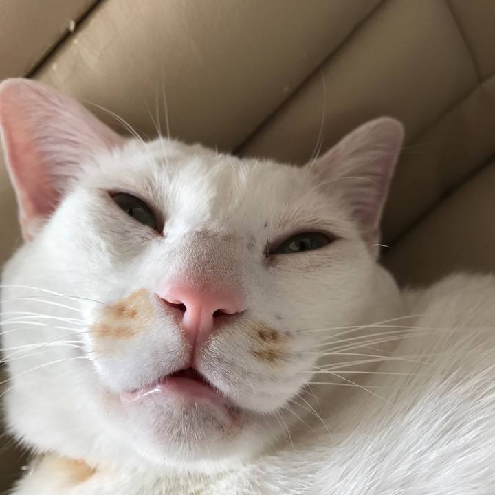 C67e0ad8 f622 4f75 86e9 67288cc86145