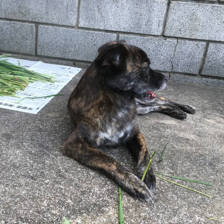 C67e7584 64c7 4a2d b3ef 993d62cedf49