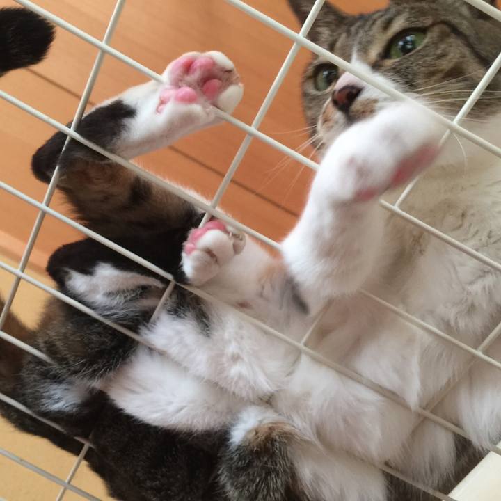 C67e96fa b510 4375 b686 1442e1f6debf