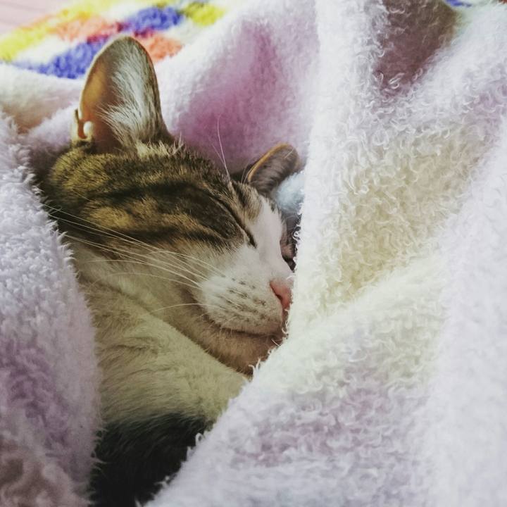 C67ebaef 07b9 445c a49e 704429e9b019