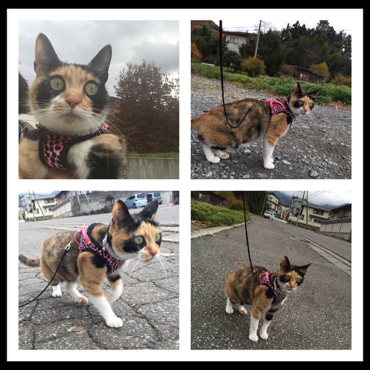 C67ed2c8 b103 4e75 8a5d 2c05fb7dee2b