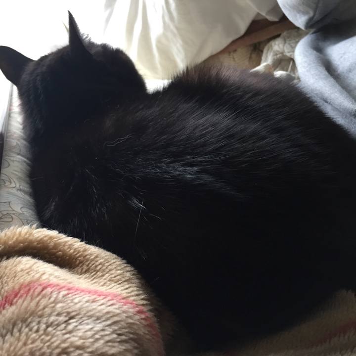 C67edd8a faa6 4ee4 890c 7f41807fe364