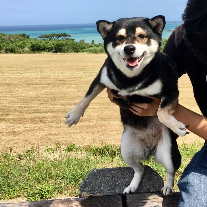 C67f1866 5ae5 45bb 8d17 e234f406868a