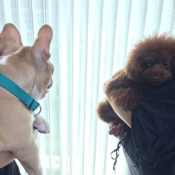 C67f80c6 c7b8 4607 a5fd 179f6b826b71