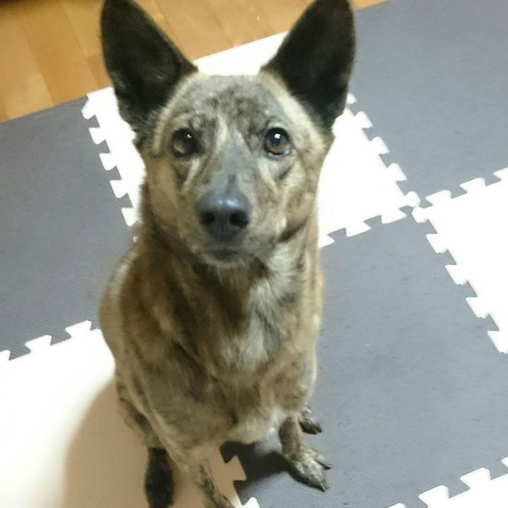 C67f9d86 9325 4dec afb7 a4edfd5dce5b