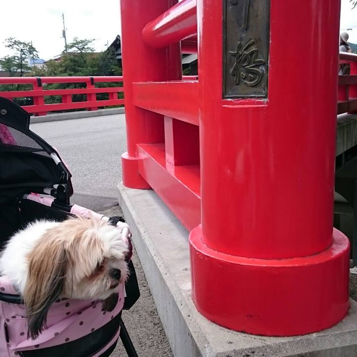 C6807ee2 32dd 486d 9a66 21300830c7aa