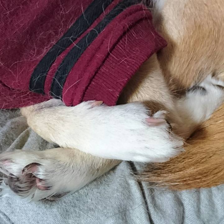 C68111ae 491b 447a b891 408ba4b5c266