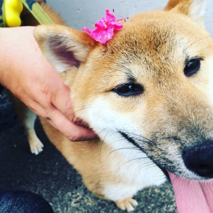 C682ab3c f021 482c a9d1 edd64a410d90