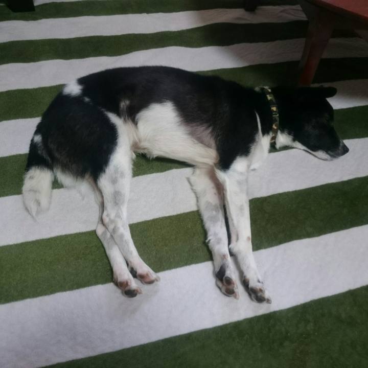 C682d25c 3ac2 4d27 9a1c 9f3456d84d10