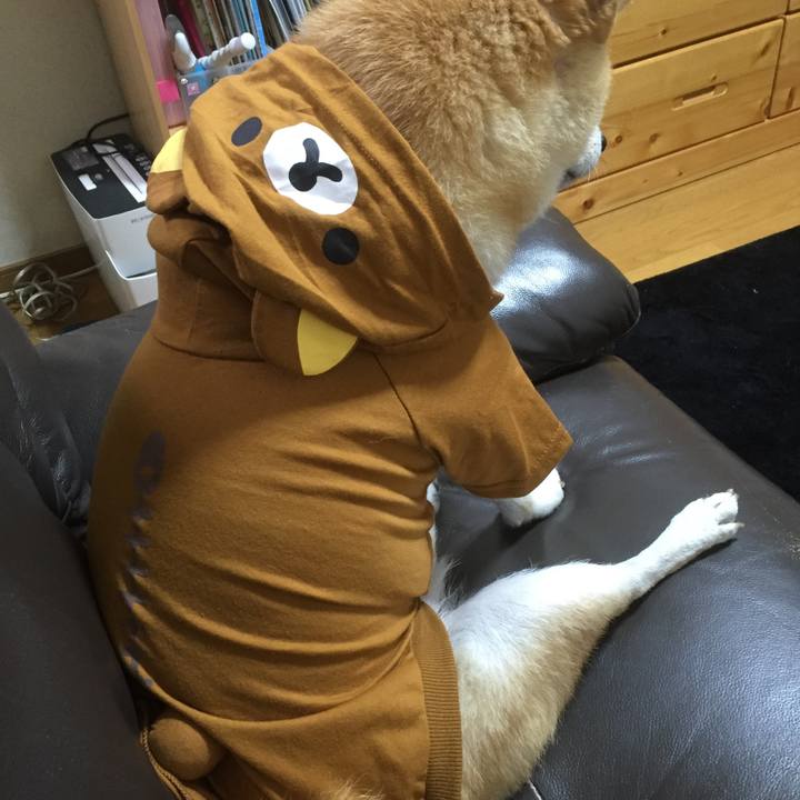 C6832ce6 a0bb 4c37 a3c3 df1a2c76a251