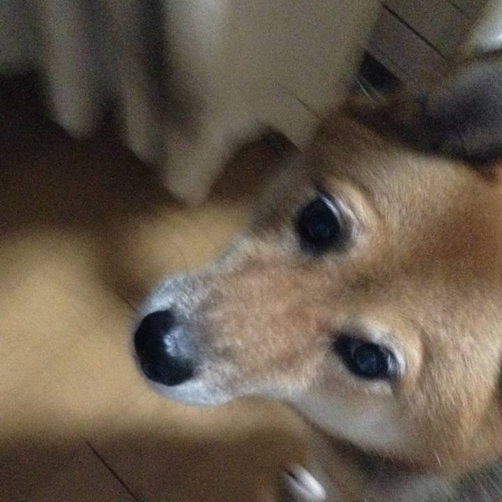 C6834126 da5f 43f4 9a9a cd68edcd9a4c