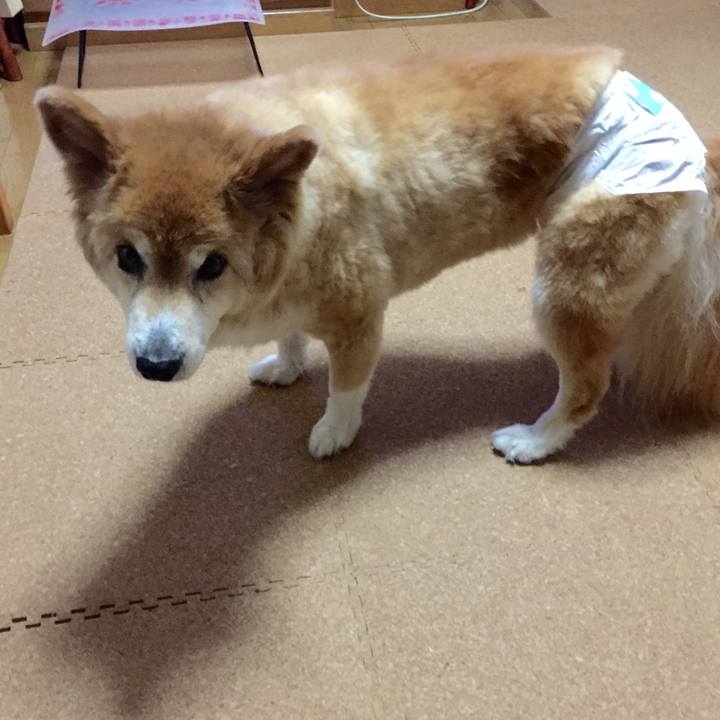 C6849ed8 7d46 443b bfaf 75c02ef77a1b