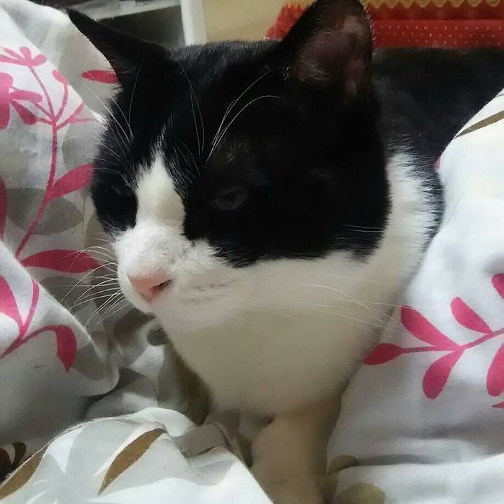 C684a843 e6bf 40d7 ab24 7711c1257574