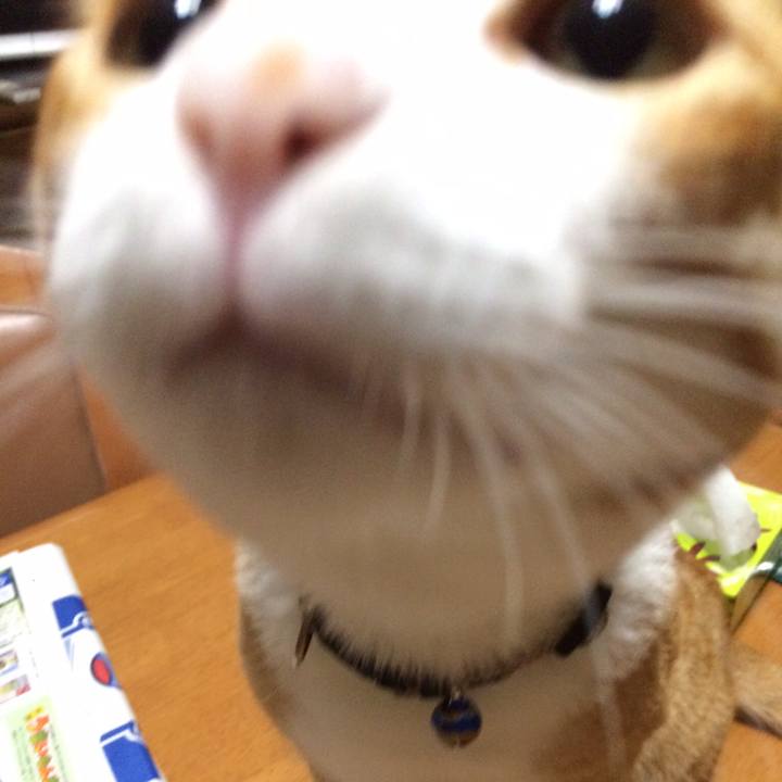 C684e655 bee2 48f5 8dee 238aa12b23db