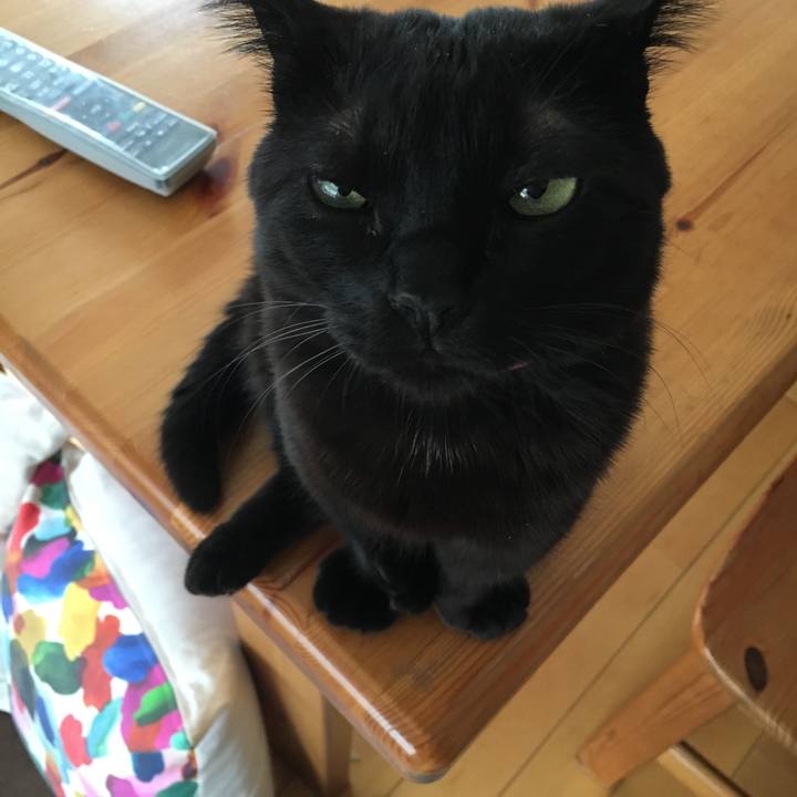 C684fa3d f9b1 4c27 85c5 e96e2591c667