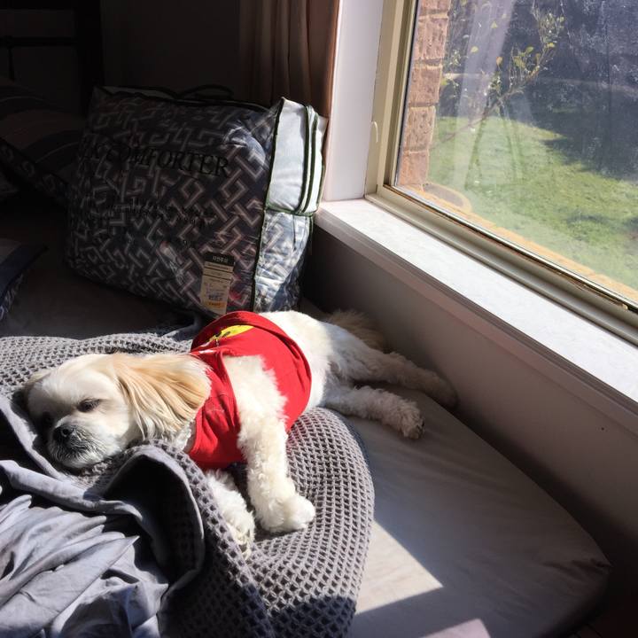 C684fbc8 deb9 4509 bb77 916081ab6bc2